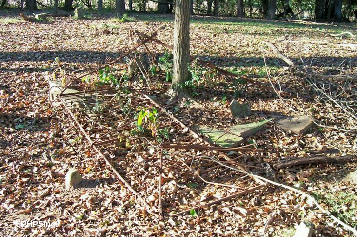 Wroth iron fence, courtesy of Dennis Lambert