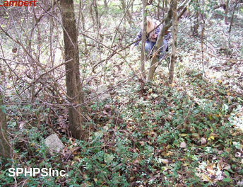 Erin Lambert looking at a Griffith gravestone, courtesy of Dennis Lambert