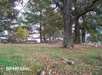 Oak trees near Gunter family graves, courtesy of Dennis Lambert
